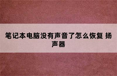 笔记本电脑没有声音了怎么恢复 扬声器